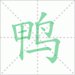 鸭的笔顺解答汉字鸭字笔顺及鸭的笔画顺序怎么