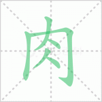 肉的笔顺解答汉字肉字笔顺及肉的笔画顺序怎么