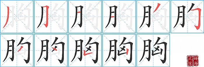 胸的笔顺、笔画
