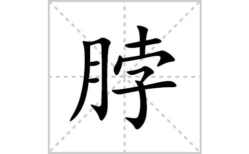 脖的笔顺笔画怎么写(脖的拼音、部首、解释及成语解读)