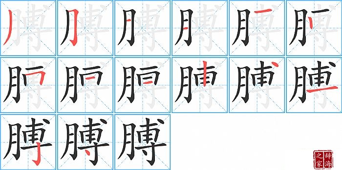 膊的笔顺、笔画