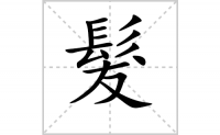髮过的笔顺笔画怎么写-汉字髮的拼音、部首及成语组词