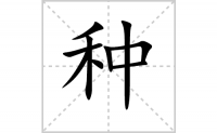 种的笔顺笔画怎么写-解读汉字种的笔画、拼音及成语组词