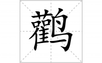 鹳的笔顺笔画怎么写-解读汉字鹳的笔画、拼音及成语组词