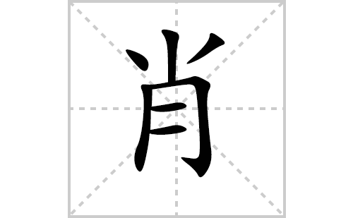 肖的笔顺笔画怎么写（肖的笔画、拼音、解释及成语详解）