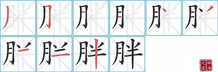 胖的笔顺、笔画