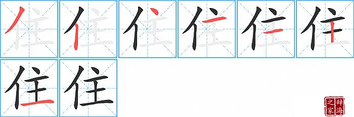 住的笔顺、笔画