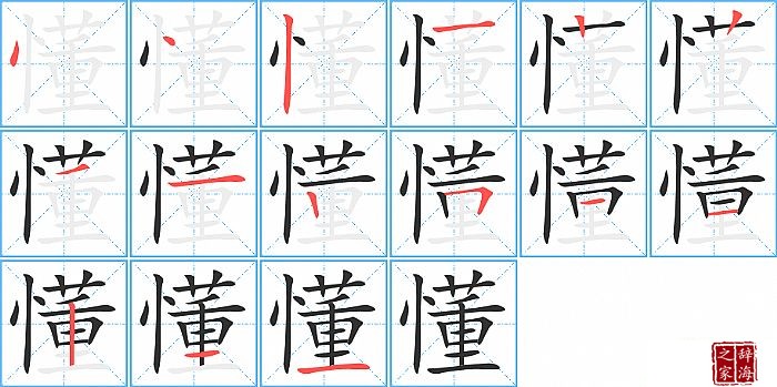 懂的笔顺、笔画
