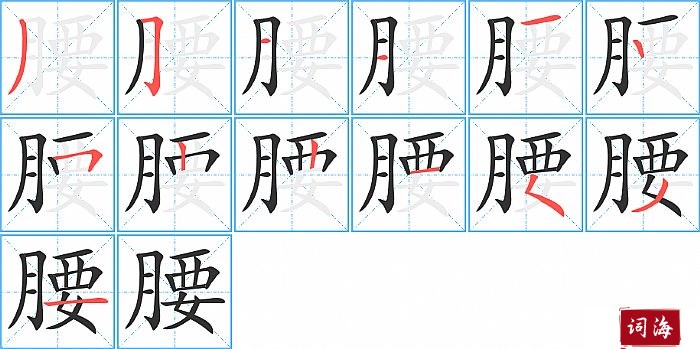 腰的笔顺、笔画