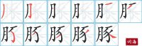 豚的笔顺笔画怎么写-汉字豚的拼音、部首及成语组词