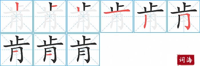 肯的笔顺、笔画