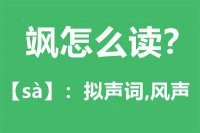 飒怎么读_汉字飒的拼音怎么读_飒的意思是什么？？