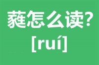 蕤怎么读_汉字蕤的拼音怎么读_蕤的意思是什么？？