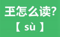 玊怎么读_汉字玊念什么_玊字的拼音怎么读_玊字的意思是什么？