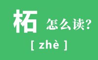柘城怎么读_汉字柘的拼音是什么_柘的意思是什么？