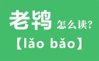 老鸨怎么读_汉字老鸨的拼音怎么读_老鸨的意思是什么？