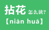 拈花怎么读_汉字拈花的拼音怎么读_拈花的意思是什么？