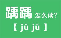 踽踽怎么读_汉字踽踽的拼音怎么读_踽踽的意思是什么？