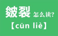 皴裂怎么读_汉字皴裂的拼音怎么读_皴裂的意思是什么？