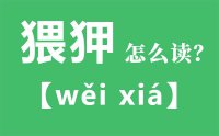 猥狎怎么读_汉字猥狎念什么_猥狎的拼音怎么读_猥狎的意思是什么？