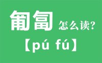 匍匐怎么读_汉字匍匐的拼音怎么读_匍匐的意思是什么？