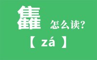 雥怎么读_汉字三个隹念什么_雥字的拼音怎么读_雥字的意思是什么？