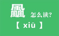 飍怎么读_汉字三个風念什么_飍字的拼音怎么读_飍字的意思是什么？