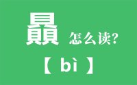 贔怎么读_汉字三个繁体的贝怎么念_贔的拼音怎么读_贔字的意思是什么？