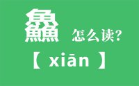 鱻怎么读_汉字三个鱼念什么_鱻的拼音怎么读_鱻字的意思是什么？