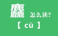 麤怎么读_汉字三个鹿念什么_麤的拼音怎么读_麤字的意思是什么？