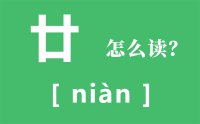 廿怎么读_汉字廿表示多少_廿的意思是什么？