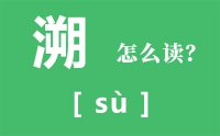 溯怎么读_汉字溯的拼音怎么读_追溯的意思是什么？？