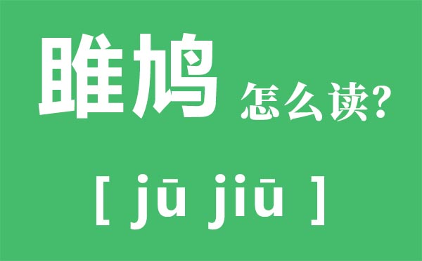 雎鸠怎么读拼音是什么,雎鸠的意思,关关雎鸠是什么意思？