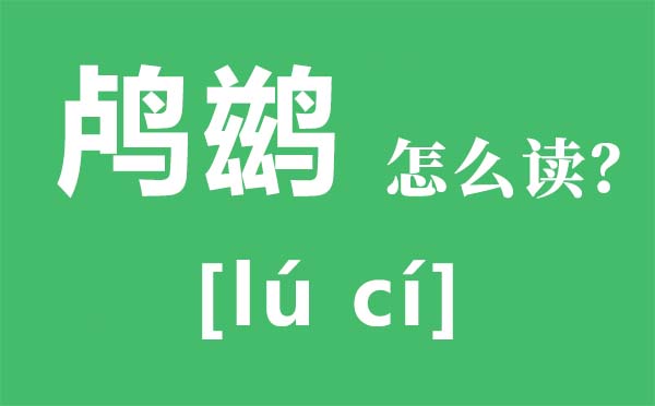 鸬鹚怎么读,鸬鹚捕鱼为什么不吃,鸬鹚多少钱一只