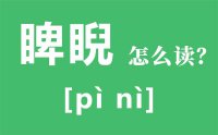 睥睨怎么读拼音是什么_睥睨的意思是什么？_睥睨的读音是什么？