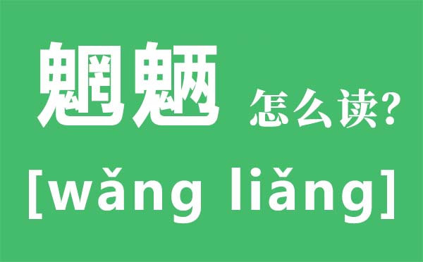 魍魉怎么读,魍魉是什么意思,魑魅魍魉是哪四种妖怪