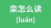 栾怎么读_汉字栾的拼音怎么读_栾字的意思是什么？