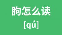 朐怎么读_汉字朐的拼音怎么读_朐字的意思是什么？