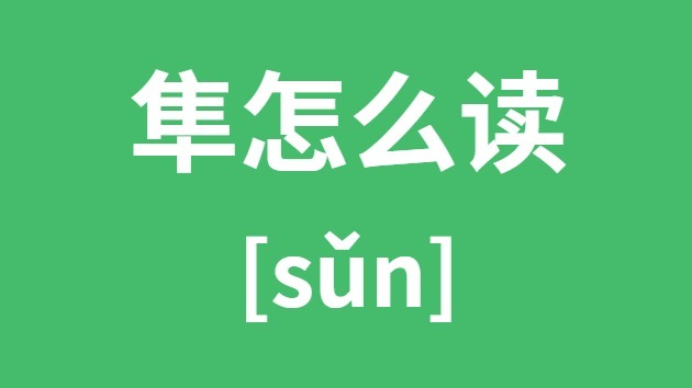 隼怎么读