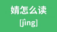 婧怎么读_汉字婧的拼音怎么读_婧字的意思是什么？