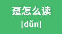 趸怎么读？汉字趸的拼音怎么读？趸字的意思是