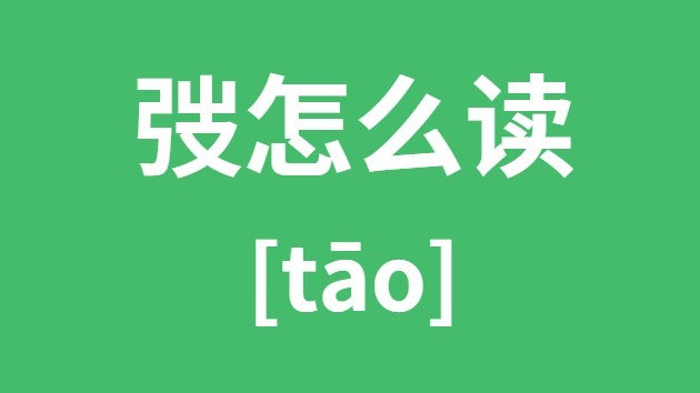弢怎么读