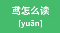 鸢怎么读？汉字鸢的拼音及意思是什么