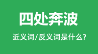 四处奔波的近义词和反义词是什么_四处奔波是什么意思?