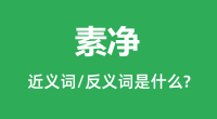 素净的近义词和反义词是什么_素净是什么意思?