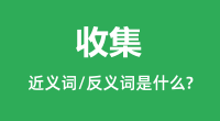 收集的近义词和反义词是什么_收集是什么意思?