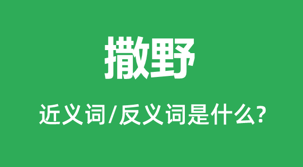 撒野的近义词和反义词是什么,撒野是什么意思