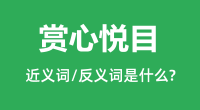 赏心悦目的近义词和反义词是什么_赏心悦目是什么意思?