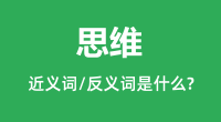 思维的近义词和反义词是什么_思维是什么意思?